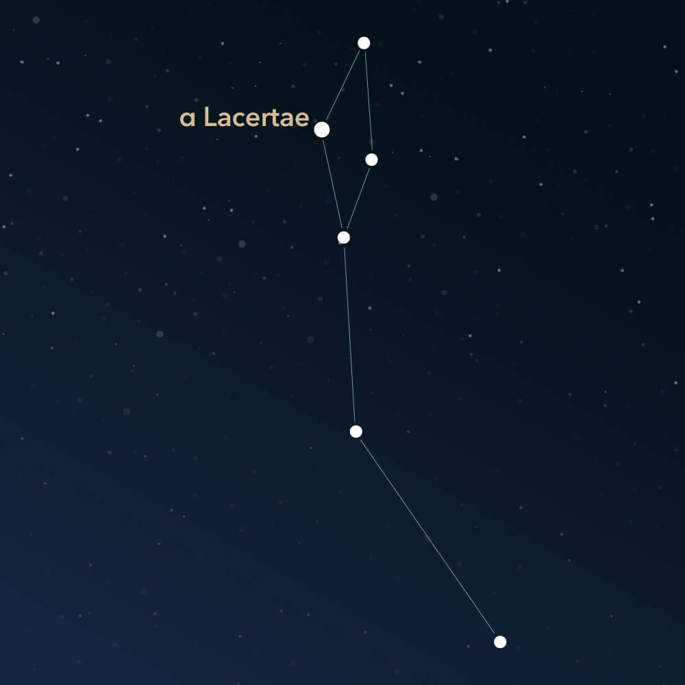 The constellation Lacerta