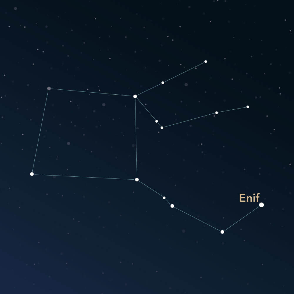 The constellation Pegasus