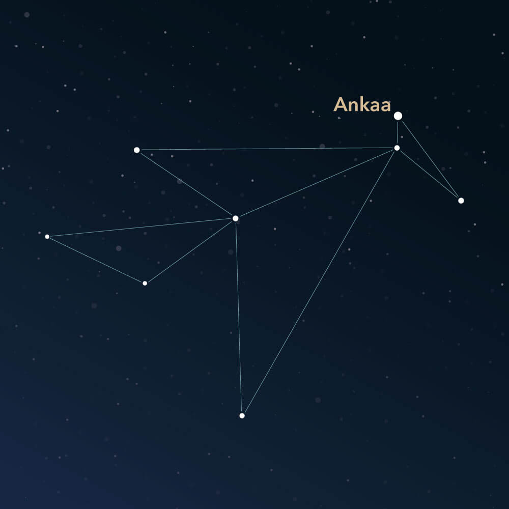 The constellation Phoenix