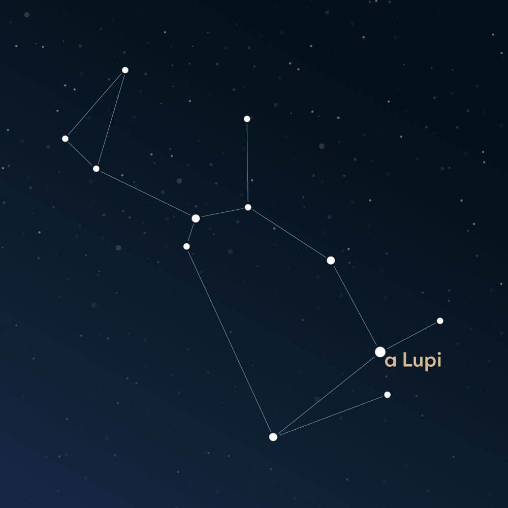 The constellation Lupus