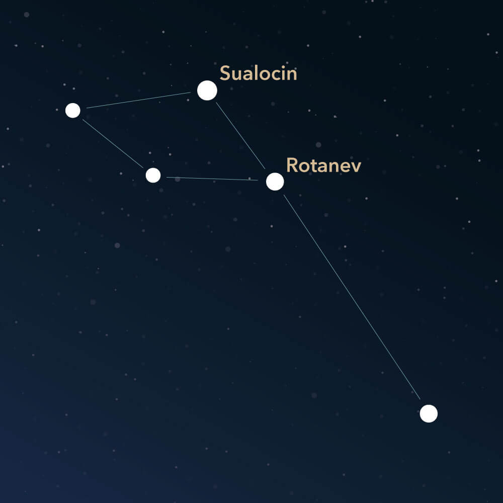 The constellation Delphinus