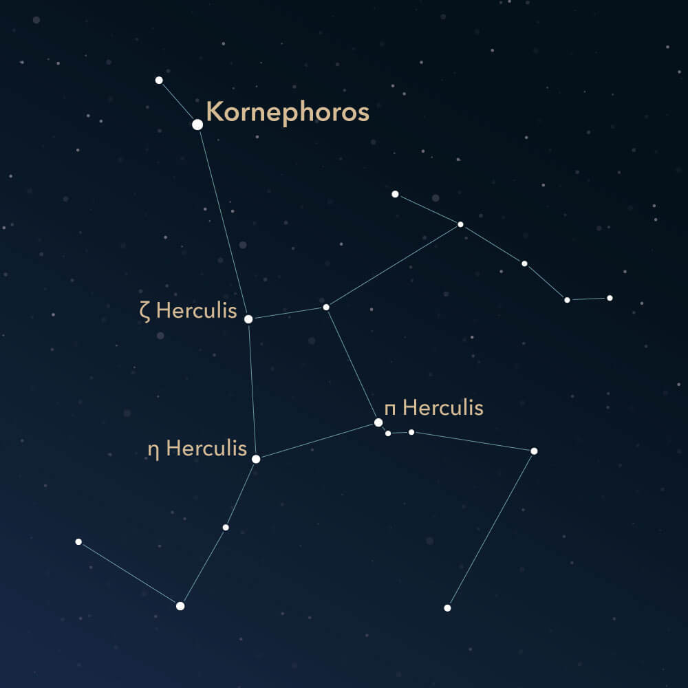 The constellation Hercules