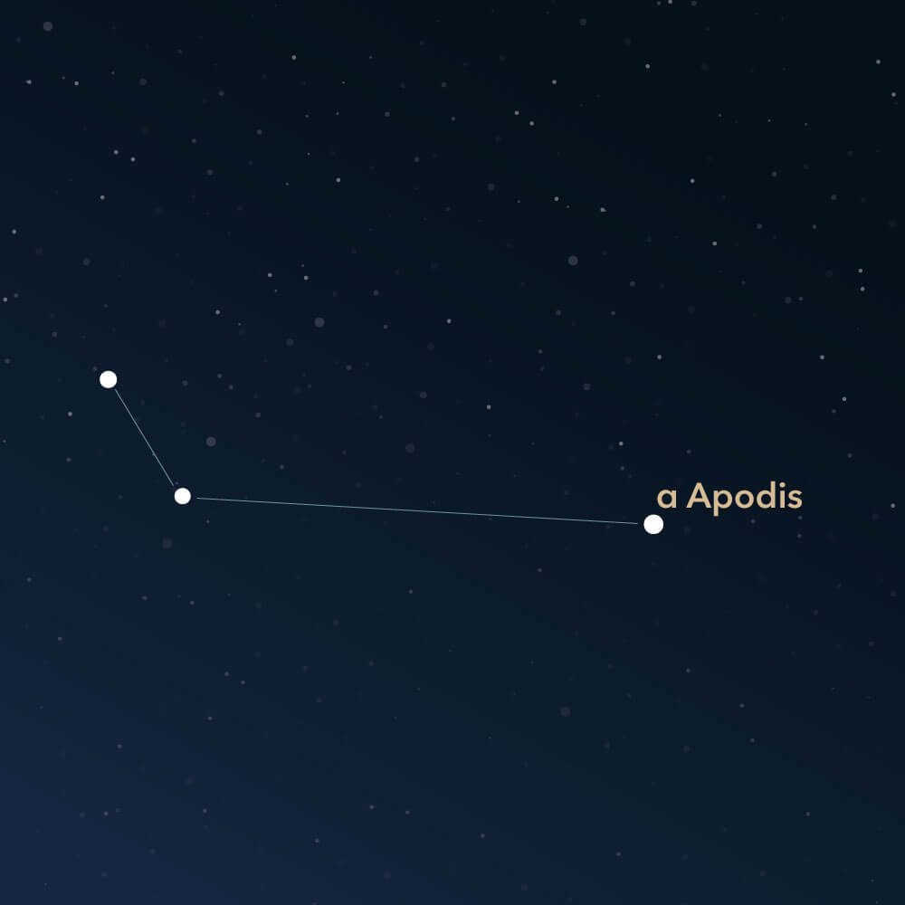 The constellation Apus